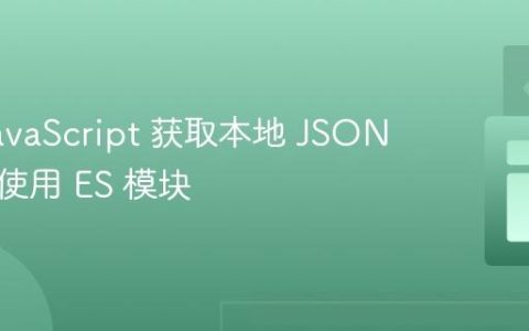 使用 JavaScript 获取本地 JSON 文件并使用 ES 模块