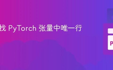 高效查找 PyTorch 张量中唯一行的索引