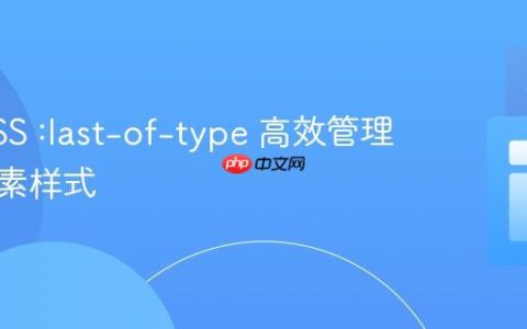 利用CSS :last-of-type 高效管理相邻元素样式