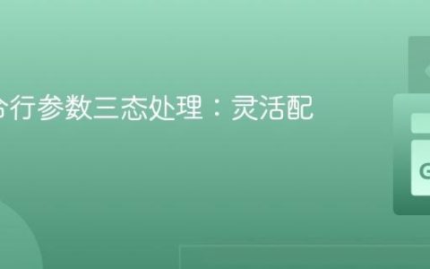 Go命令行参数三态处理：灵活配置代理