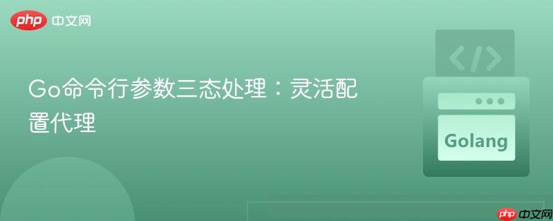 Go命令行参数三态处理：灵活配置代理