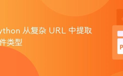 使用 Python 从复杂 URL 中提取图像文件类型