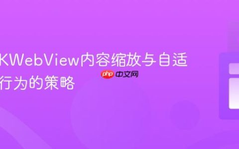 控制WKWebView内容缩放与自适应元素行为的策略