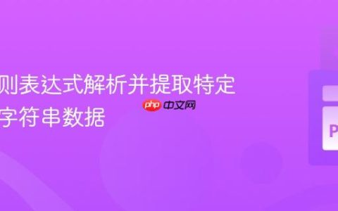 使用正则表达式解析并提取特定格式的字符串数据