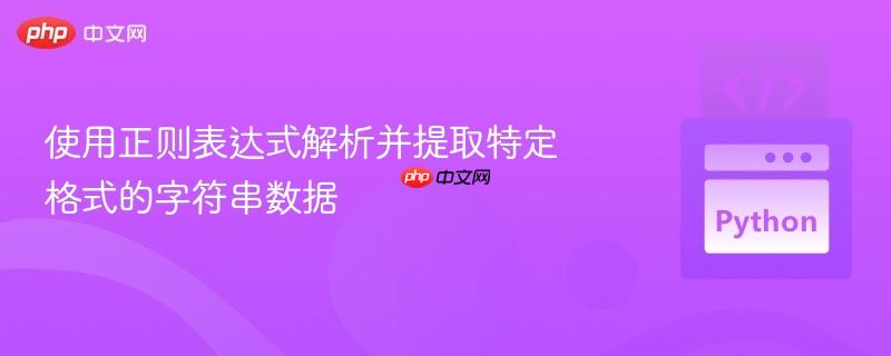 使用正则表达式解析并提取特定格式的字符串数据