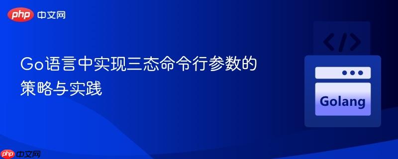 Go语言中实现三态命令行参数的策略与实践