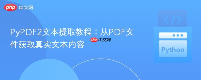 pypdf2文本提取教程:从pdf文件获取真实文本内容