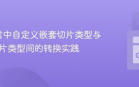 Go语言中自定义嵌套切片类型与原生切片类型间的转换实践