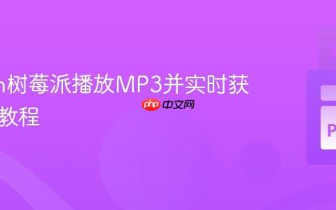 Python树莓派播放MP3并实时获取振幅教程
