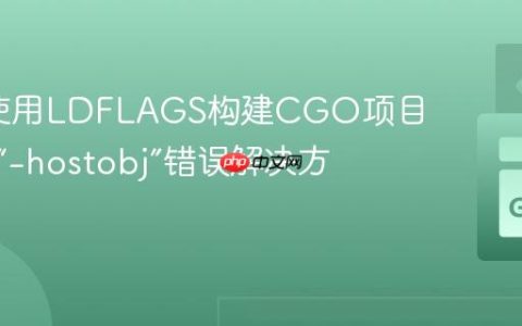 Go中使用LDFLAGS构建CGO项目时出现“-hostobj”错误解决方案