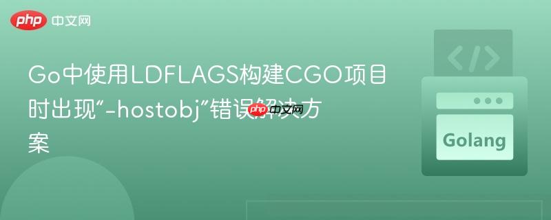 go中使用ldflags构建cgo项目时出现“-hostobj”错误解决方案