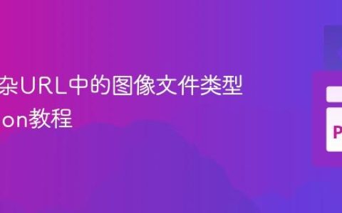 提取复杂URL中的图像文件类型：Python教程