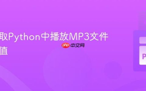 实时获取Python中播放MP3文件的振幅值