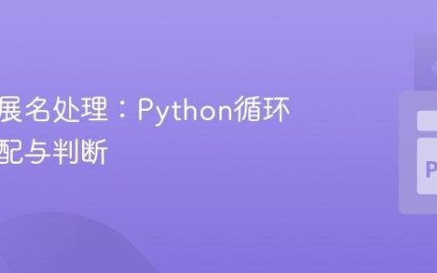 文件扩展名处理：Python循环中的匹配与判断