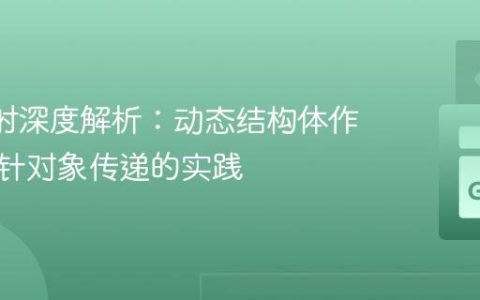 Go 反射深度解析：动态结构体作为非指针对象传递的实践