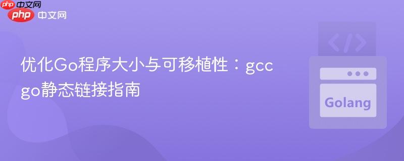 优化Go程序大小与可移植性:gccgo静态链接指南