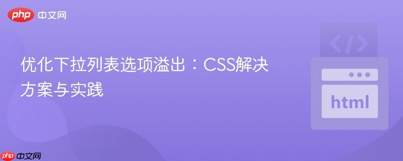 优化下拉列表选项溢出:CSS解决方案与实践