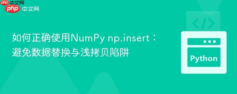 如何正确使用NumPy np.insert:避免数据替换与浅拷贝陷阱