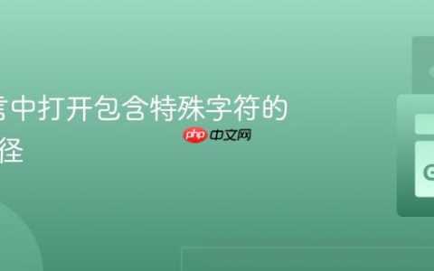 Go语言中打开包含特殊字符的文件路径