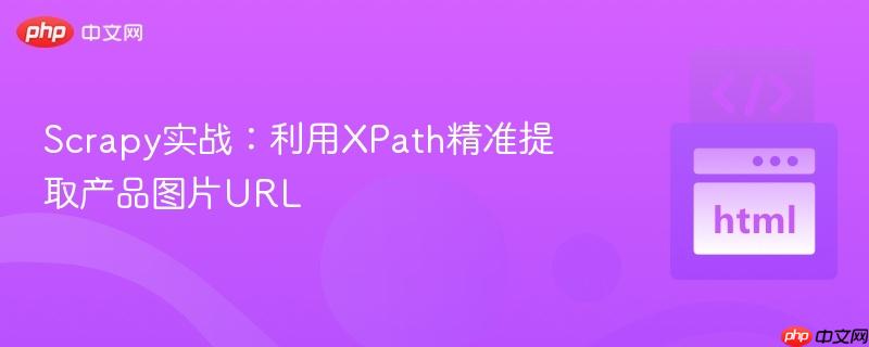 Scrapy实战:利用XPath精准提取产品图片URL