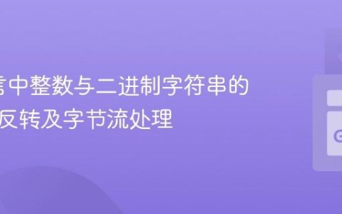 Go语言中整数与二进制字符串的转换、反转及字节流处理