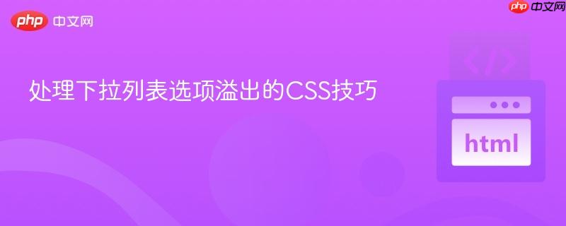 处理下拉列表选项溢出的CSS技巧