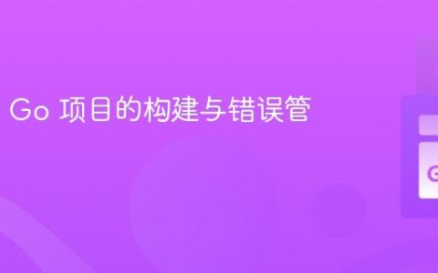 Vim 中 Go 项目的构建与错误管理
