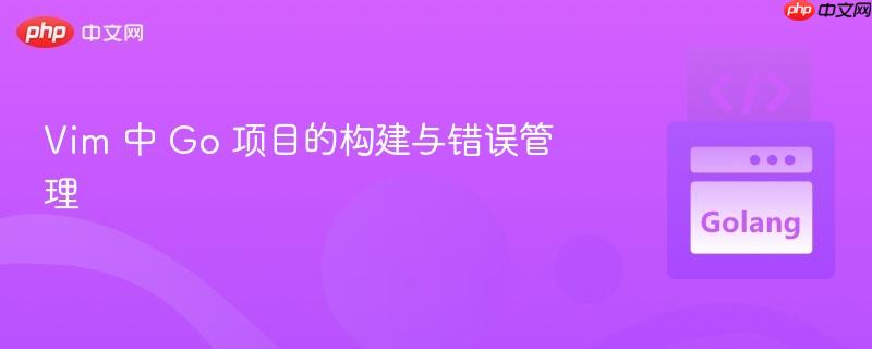 Vim 中 Go 项目的构建与错误管理