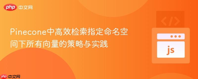 Pinecone中高效检索指定命名空间下所有向量的策略与实践