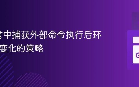 Go语言中捕获外部命令执行后环境变量变化的策略