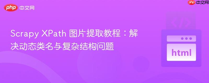 Scrapy XPath 图片提取教程:解决动态类名与复杂结构问题