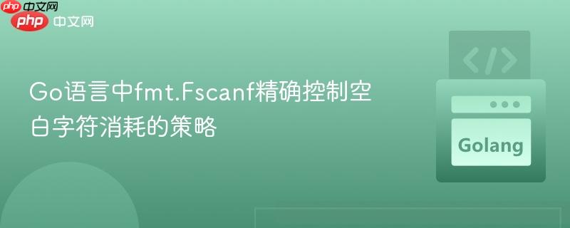 Go语言中fmt.Fscanf精确控制空白字符消耗的策略