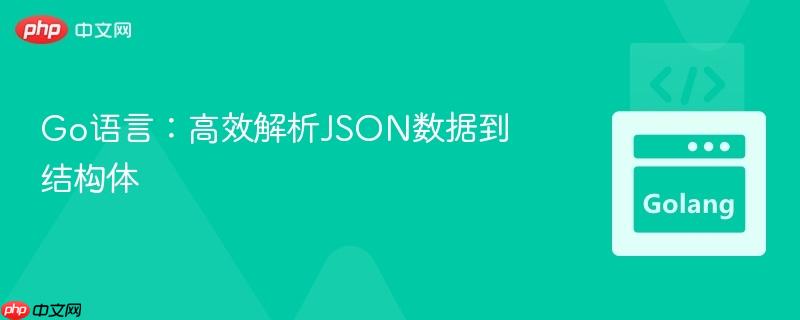 go语言:高效解析json数据到结构体