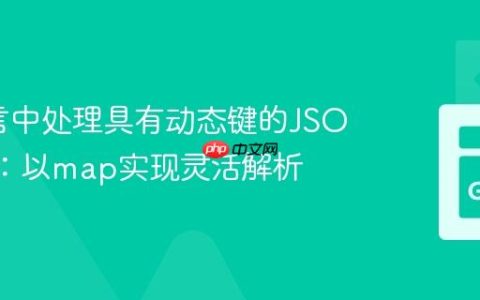 Go语言中处理具有动态键的JSON结构：以map实现灵活解析