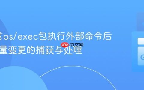 Go语言os/exec包执行外部命令后环境变量变更的捕获与处理