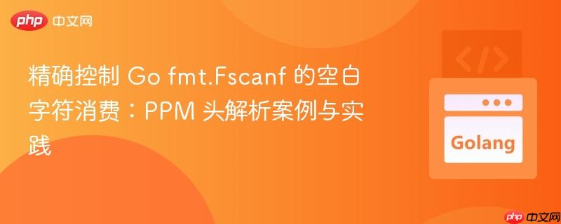 精确控制 go fmt.fscanf 的空白字符消费：ppm 头解析案例与实践