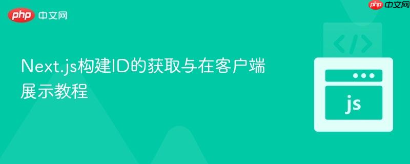 Next.js构建ID的获取与在客户端展示教程