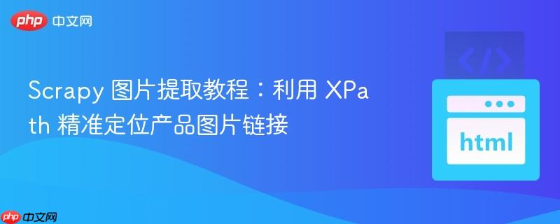 Scrapy 图片提取教程:利用 XPath 精准定位产品图片链接