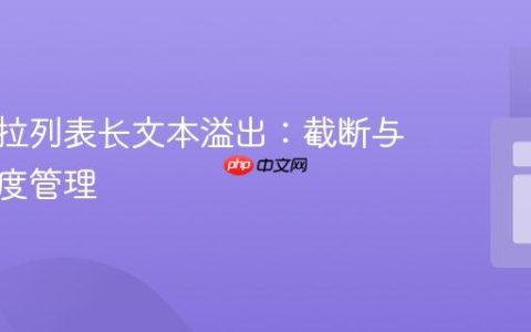 处理下拉列表长文本溢出：截断与容器高度管理