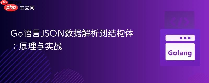 go语言json数据解析到结构体：原理与实战