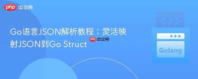 Go语言JSON解析教程:灵活映射JSON到Go Struct