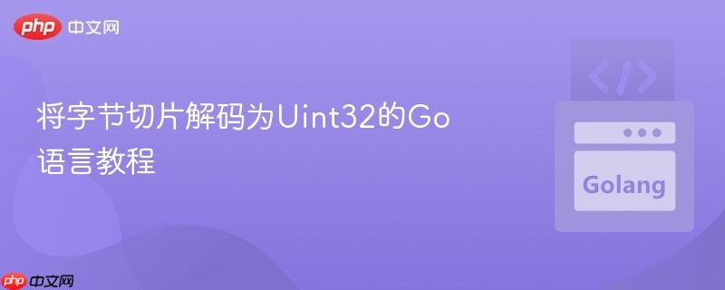 将字节切片解码为Uint32的Go语言教程