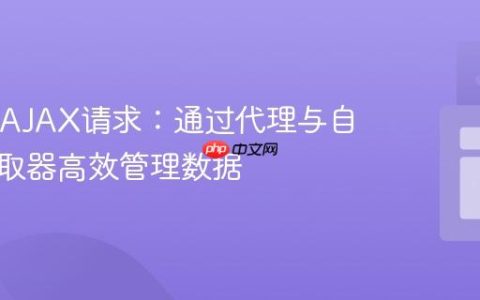 Ext JS AJAX请求：通过代理与自定义读取器高效管理数据