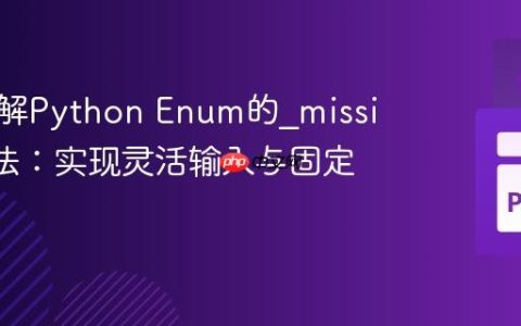 深入理解Python Enum的_missing_方法：实现灵活输入与固定值输出