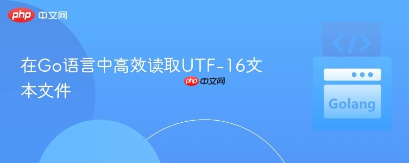 在Go语言中高效读取UTF-16文本文件