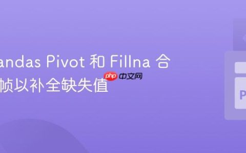 使用 Pandas Pivot 和 Fillna 合并数据帧以补全缺失值