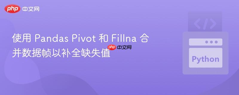 使用 pandas pivot 和 fillna 合并数据帧以补全缺失值