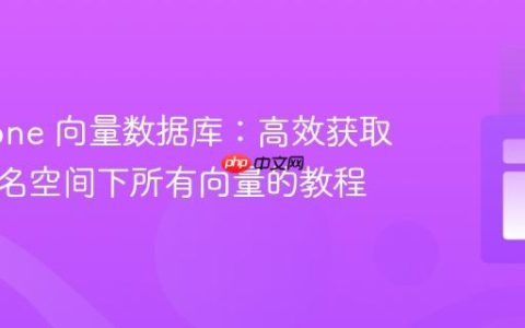 Pinecone 向量数据库：高效获取指定命名空间下所有向量的教程