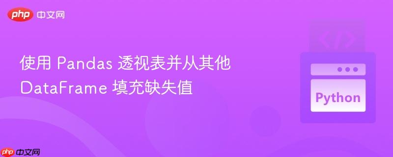 使用 pandas 透视表并从其他 dataframe 填充缺失值