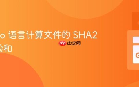 使用 Go 语言计算文件的 SHA256 校验和